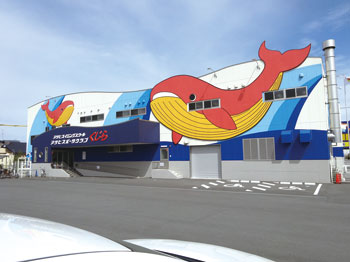 アサヒスイミングスクールくじら/アサヒスポーツクラブくじら